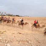 birthright on camel commute