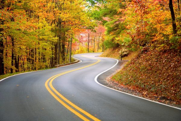 A winding road through trees with leaves changing color.