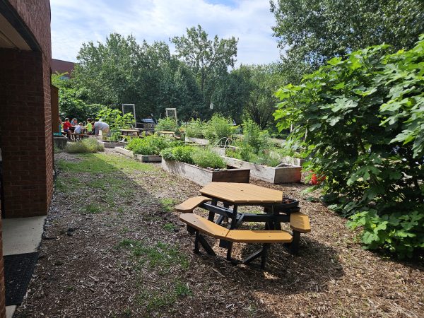 10 Jccs And Jcc Camps That Are Making Every Day Earth Day 11