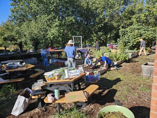 10 Jccs And Jcc Camps That Are Making Every Day Earth Day 12