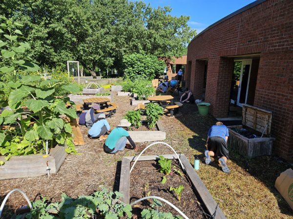 10 Jccs And Jcc Camps That Are Making Every Day Earth Day 13