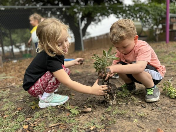 10 Jccs And Jcc Camps That Are Making Every Day Earth Day 14