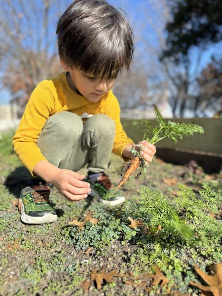 10 Jccs And Jcc Camps That Are Making Every Day Earth Day 15