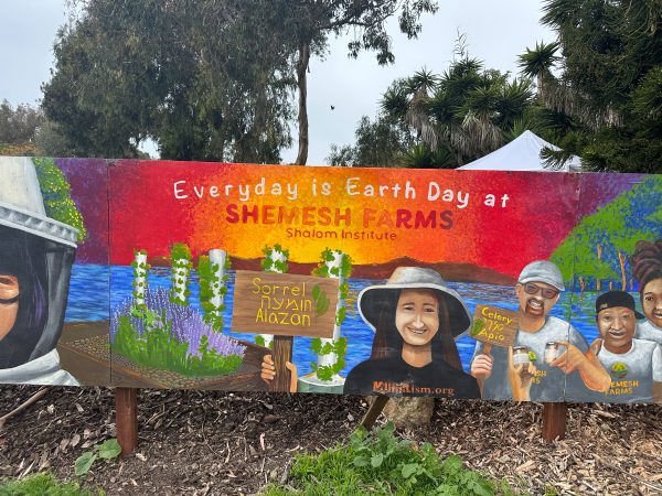 10 Jccs And Jcc Camps That Are Making Every Day Earth Day 3