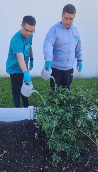10 Jccs And Jcc Camps That Are Making Every Day Earth Day