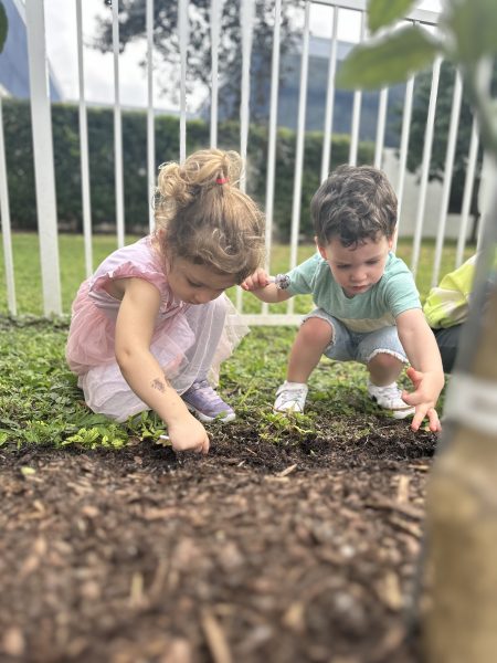 10 Jccs And Jcc Camps That Are Making Every Day Earth Day 4
