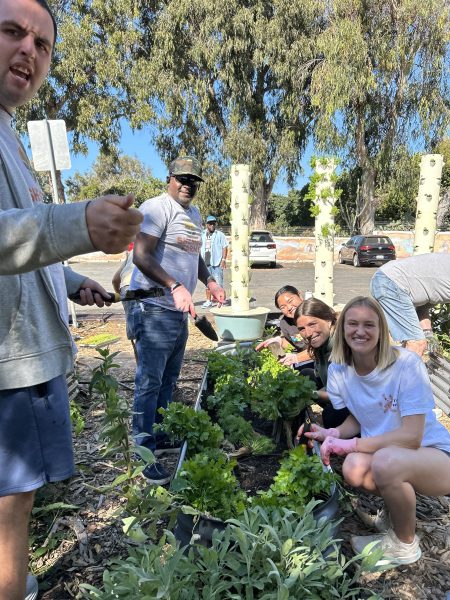 10 Jccs And Jcc Camps That Are Making Every Day Earth Day
