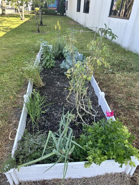 10 Jccs And Jcc Camps That Are Making Every Day Earth Day 5