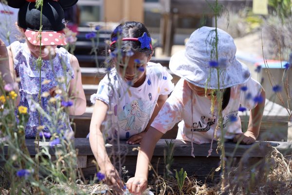 10 Jccs And Jcc Camps That Are Making Every Day Earth Day 6
