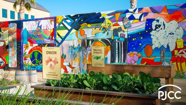 10 Jccs And Jcc Camps That Are Making Every Day Earth Day 7
