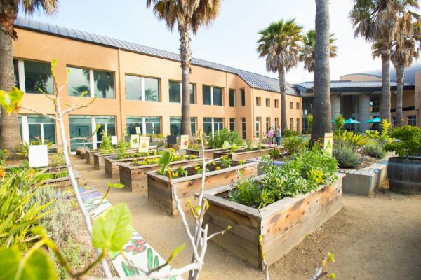 10 Jccs And Jcc Camps That Are Making Every Day Earth Day 8
